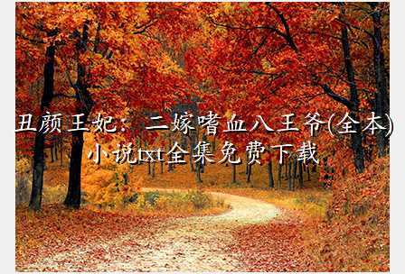 丑颜王妃:二嫁嗜血八王爷(全本)小说txt全集免费下载