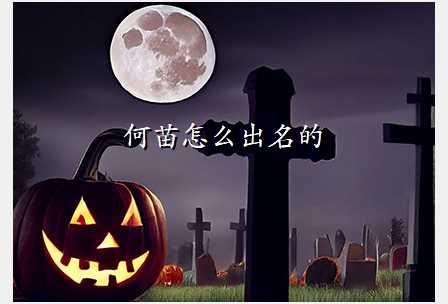 何苗怎么出名的