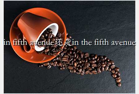 in fifth avenue还是in the fifth avenue