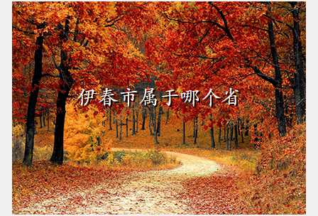 伊春市属于哪个省