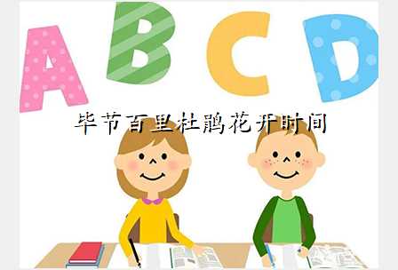 毕节百里杜鹃花开时间
