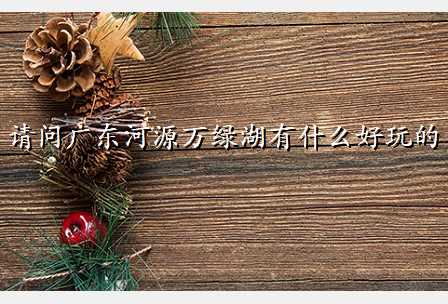 请问广东河源万绿湖有什么好玩的