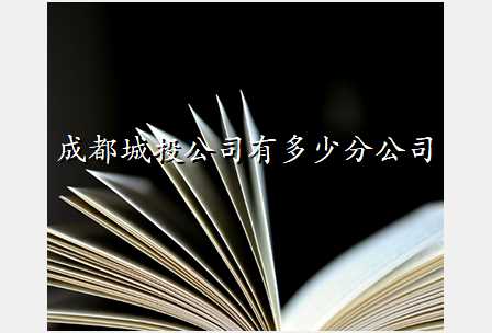成都城投公司有多少分公司