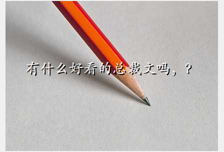 有什么好看的总裁文吗,?