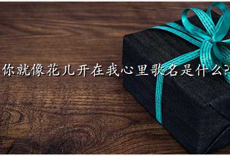 你就像花儿开在我心里歌名是什么?