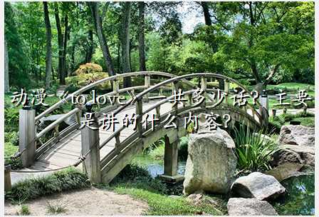 动漫《to love》一共多少话?主要是讲的什么内容?