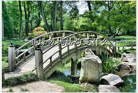 非缘勿扰结局是什么