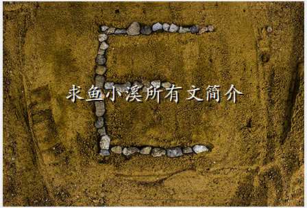 求鱼小溪所有文简介