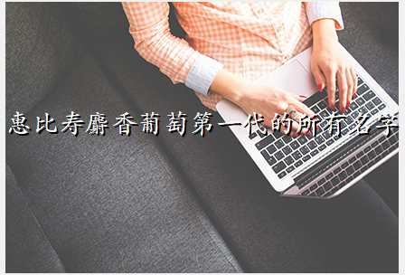 惠比寿麝香葡萄第一代的所有名字