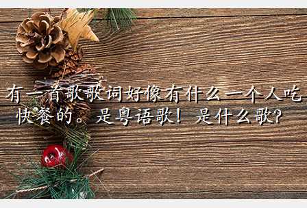 有一首歌歌词好像有什么一个人吃快餐的。是粤语歌!是什么歌?