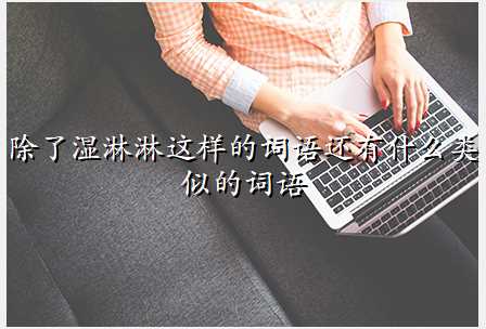 除了湿淋淋这样的词语还有什么类似的词语