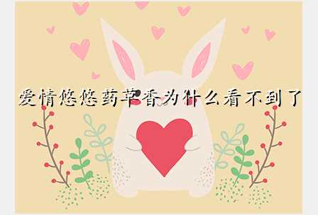 爱情悠悠药草香为什么看不到了